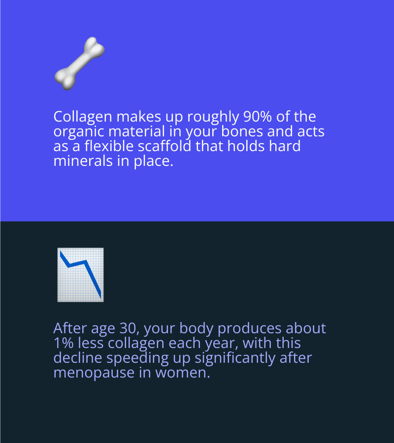 How collagen supports bone structure, bone density, and where supplements fit into bone health care infographic How collagen supports bone structure, bone density, and where supplements fit into bone health care infographic