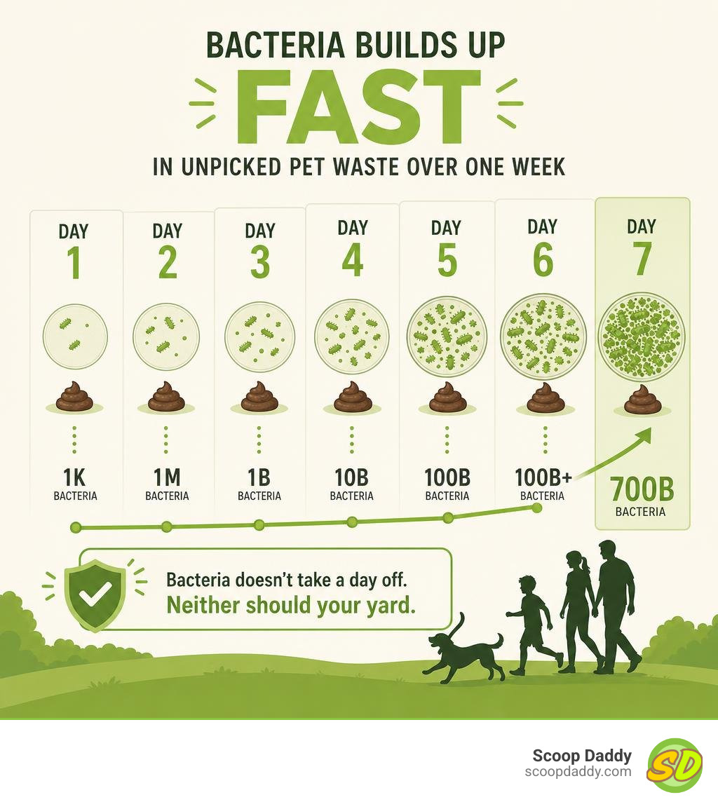 infographic showing bacteria accumulation timeline in unpicked pet waste over one week infographic infographic showing bacteria accumulation timeline in unpicked pet waste over one week infographic