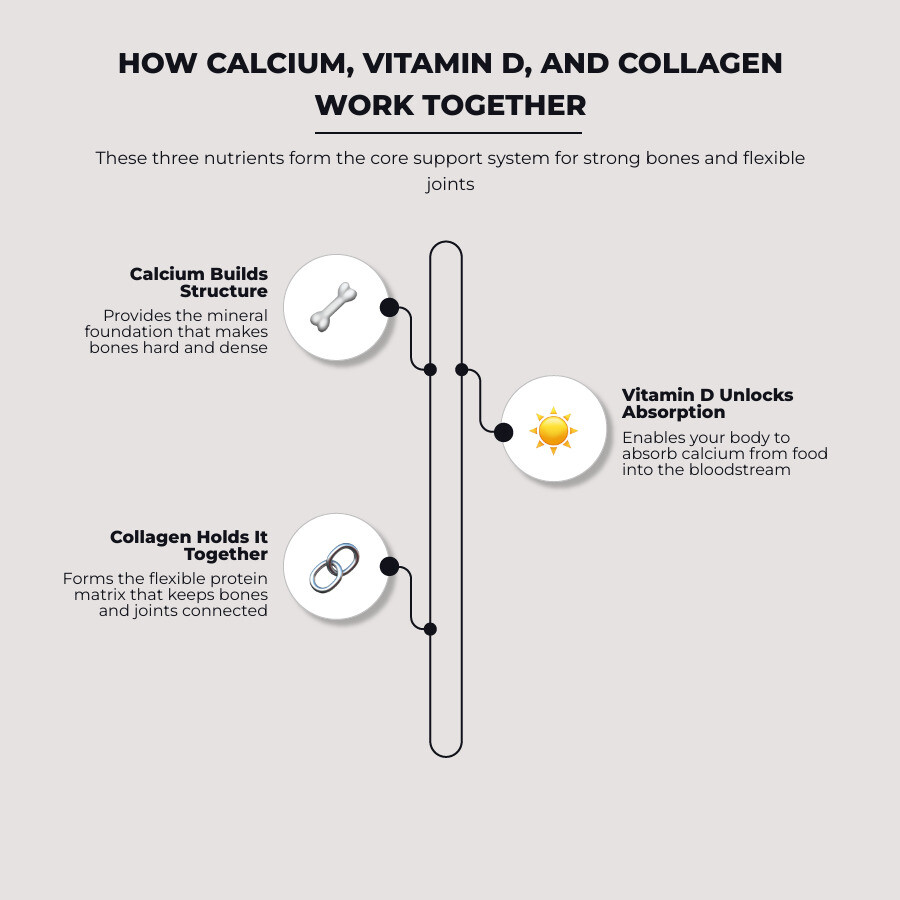 Infographic: calcium builds bone structure, vitamin D helps absorb calcium, collagen holds joints and bones together