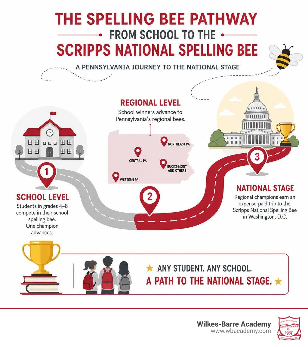 Spelling bee pathway from school level to Scripps National Spelling Bee, showing Pennsylvania regional stops infographic