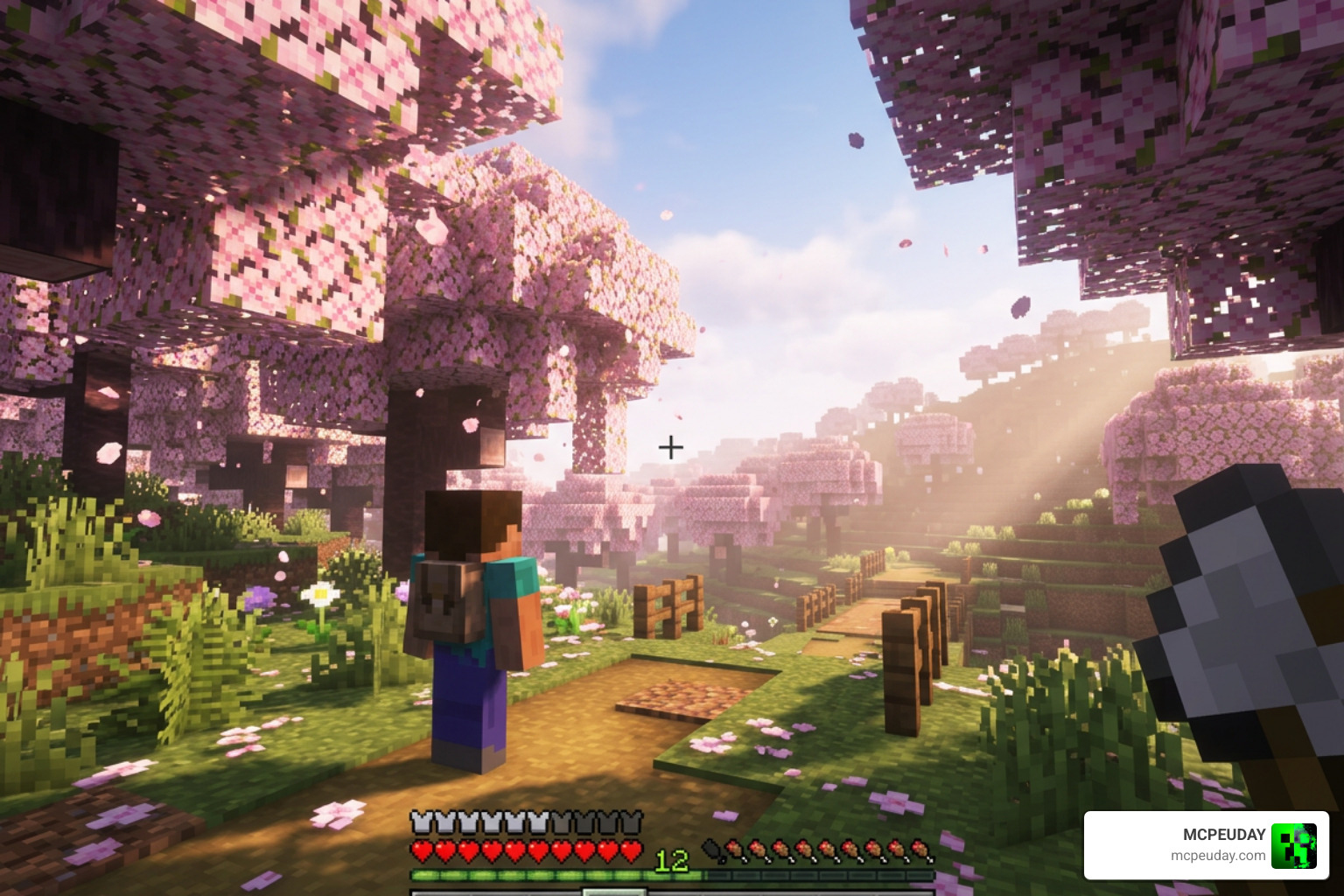 Smooth gameplay in a cherry grove biome using Xiao Reimagined Shader