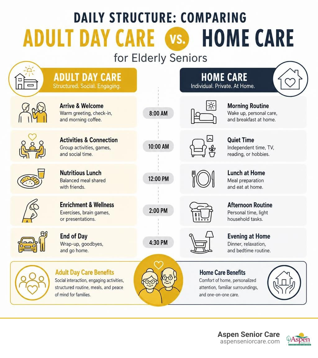 Infographic comparing daily structure of adult day care vs. home care for elderly seniors infographic