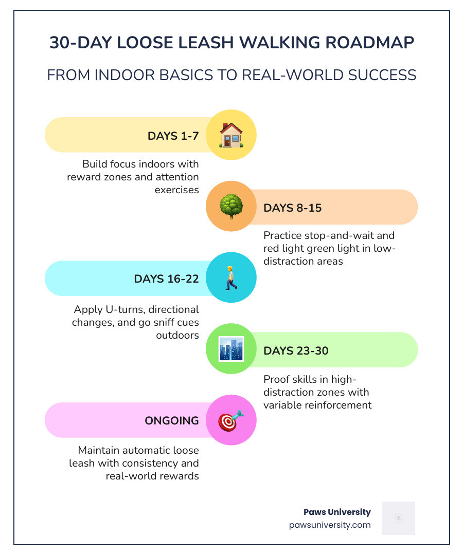 30-day loose leash walking roadmap with phases from indoor foundation to real-world proofing infographic 30-day loose leash walking roadmap with phases from indoor foundation to real-world proofing infographic