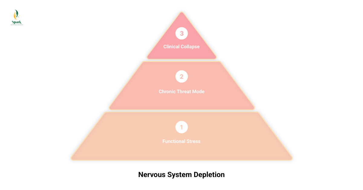 burnout recovery progression from functional stress to clinical nervous system collapse infographic infographic burnout recovery progression from functional stress to clinical nervous system collapse infographic infographic