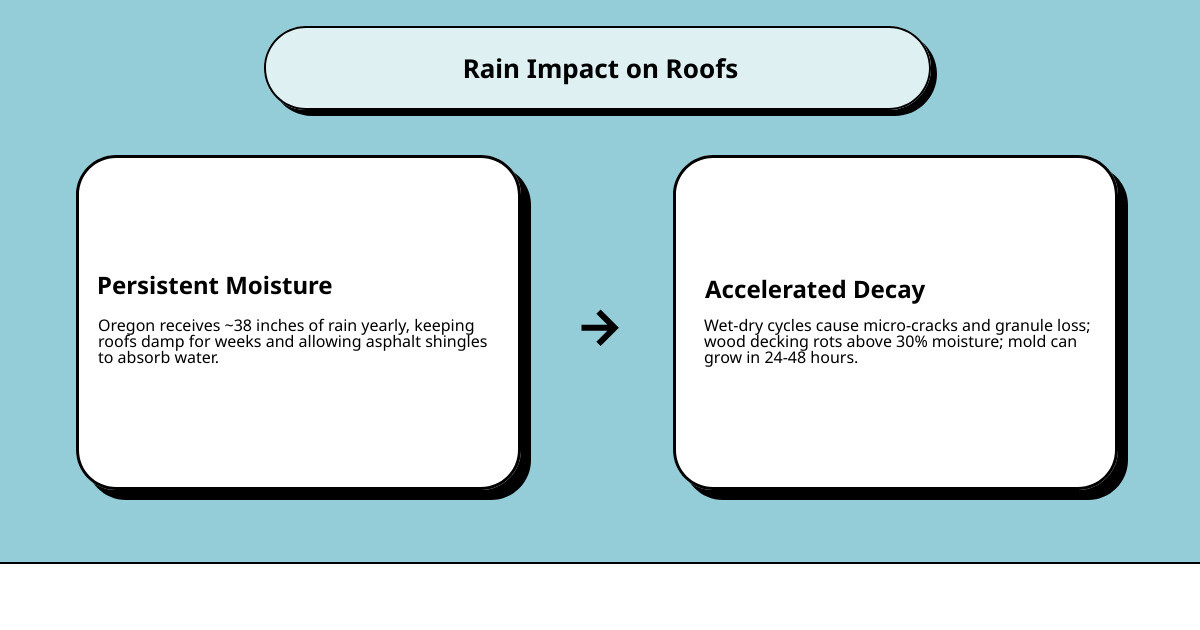Infographic showing how persistent Pacific Northwest rain impacts roof layers from shingles to decking over time infographic