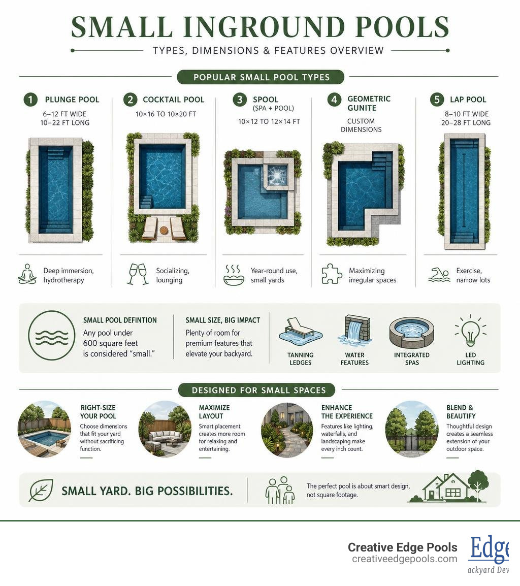Small inground pool types, dimensions, and features overview infographic infographic