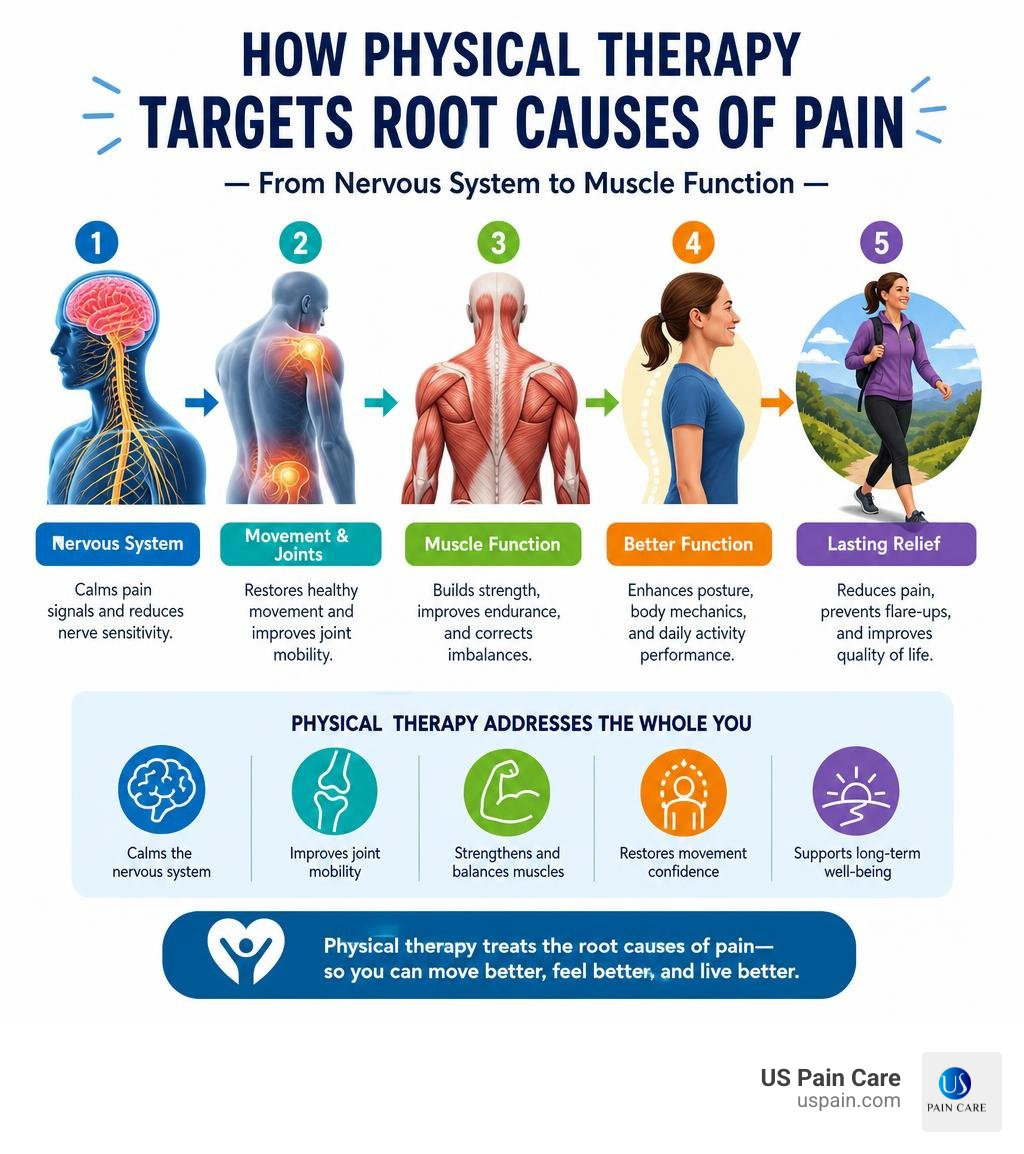 How physical therapy targets root causes of pain — from nervous system to muscle function infographic