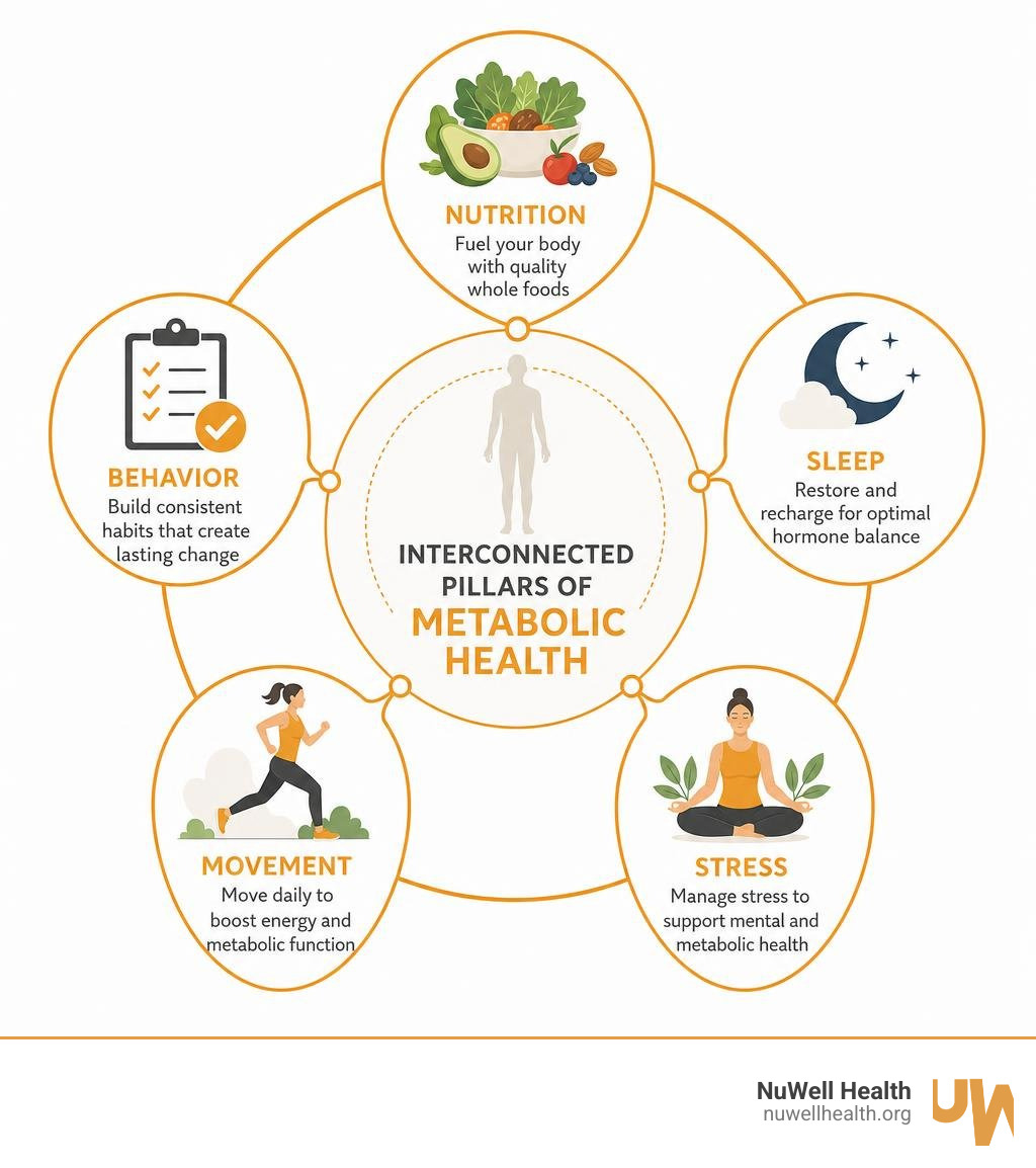 Interconnected pillars of metabolic health: nutrition, sleep, stress, movement, and behavior infographic Interconnected pillars of metabolic health: nutrition, sleep, stress, movement, and behavior infographic