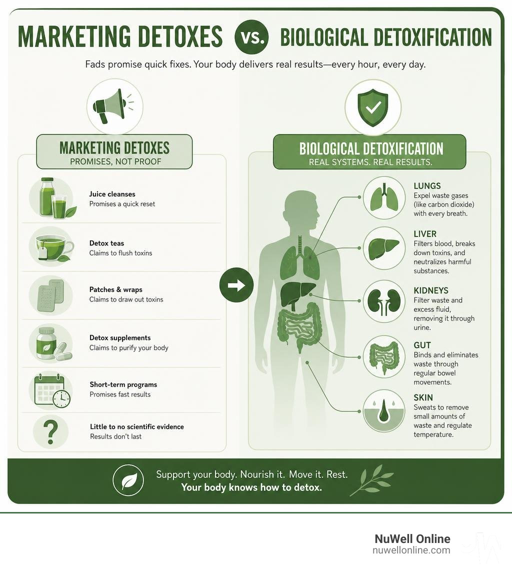 Infographic comparing marketing detoxes vs biological detoxification pathways in the body infographic