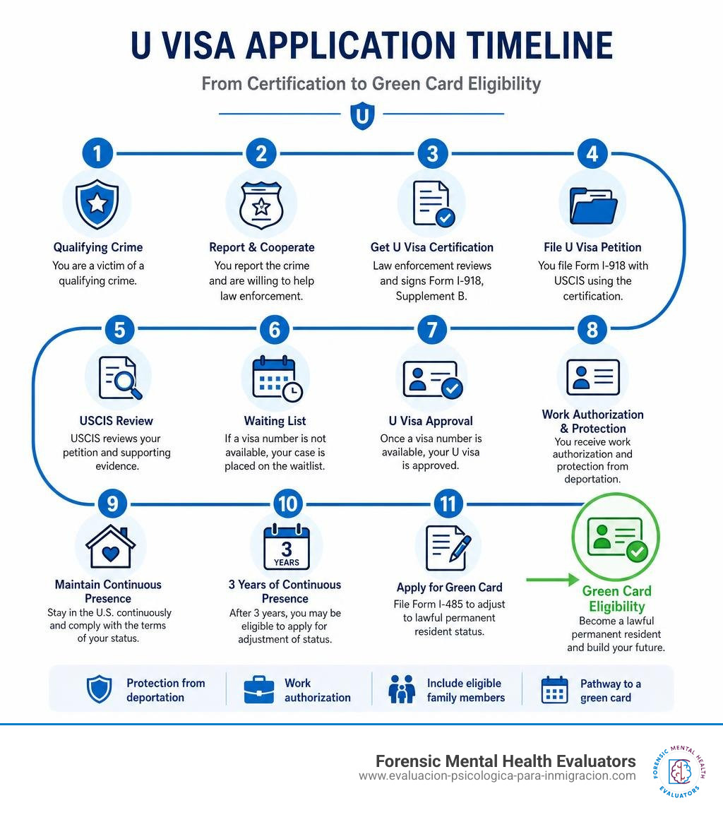 U visa application timeline infographic showing steps from certification to green card eligibility infographic U visa application timeline infographic showing steps from certification to green card eligibility infographic
