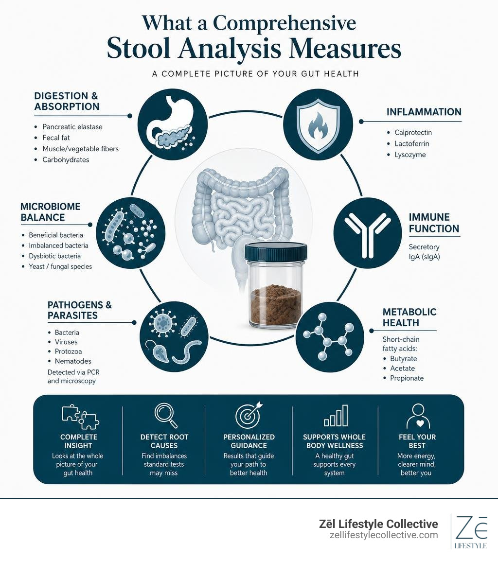 Infographic showing what a comprehensive stool analysis measures across digestion, inflammation, microbiome, pathogens, and Infographic showing what a comprehensive stool analysis measures across digestion, inflammation, microbiome, pathogens, and