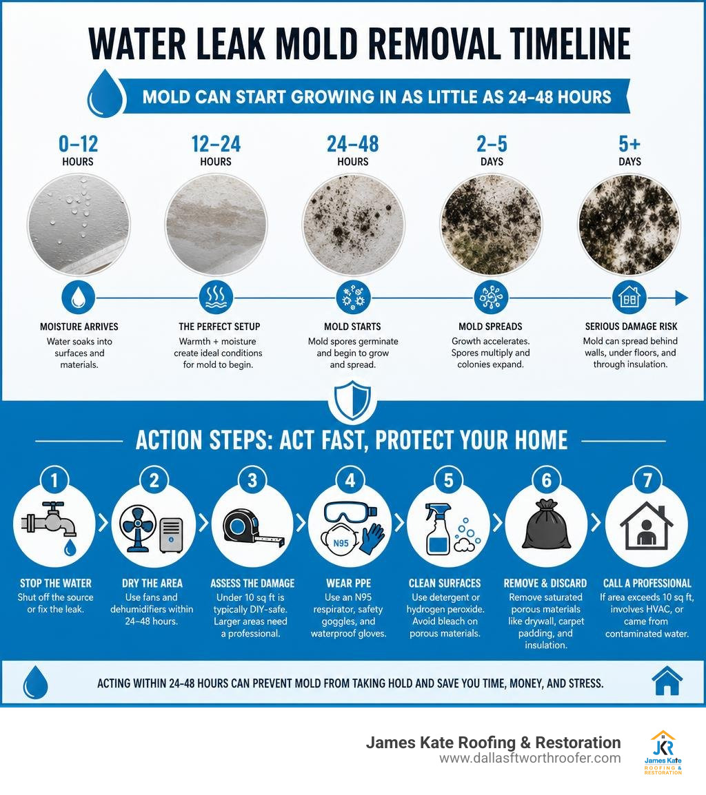 Water leak mold removal timeline showing 24-48 hour mold growth stages and action steps infographic Water leak mold removal timeline showing 24-48 hour mold growth stages and action steps infographic