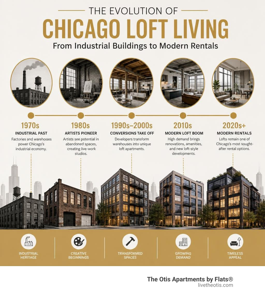 Infographic showing history of Chicago loft conversions from 1970s industrial buildings to modern rentals infographic Infographic showing history of Chicago loft conversions from 1970s industrial buildings to modern rentals infographic