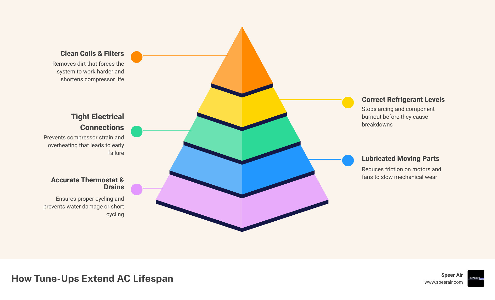 Infographic showing how an AC tune-up extends system lifespan through key maintenance steps infographic Infographic showing how an AC tune-up extends system lifespan through key maintenance steps infographic