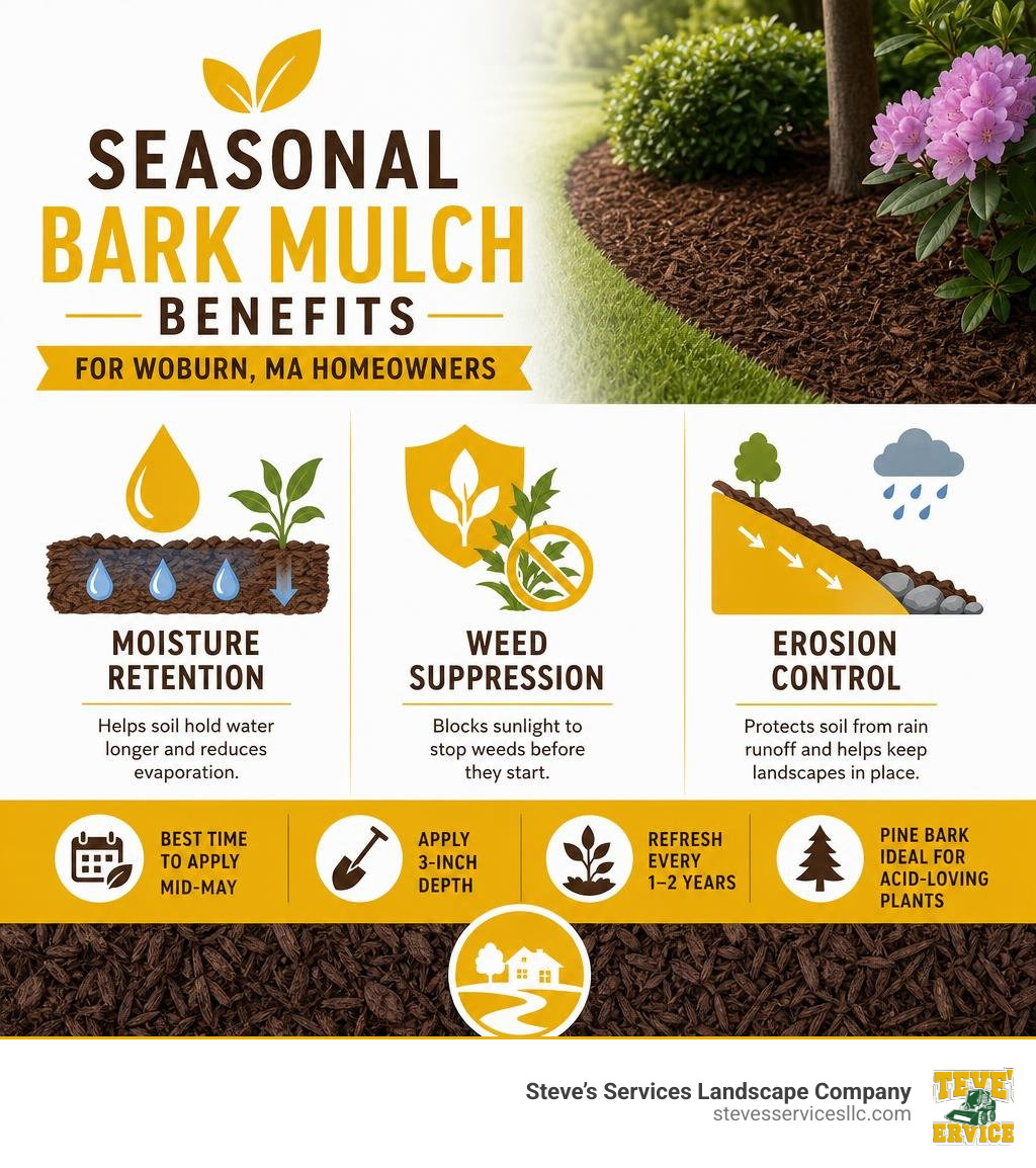 Seasonal bark mulch benefits infographic for Woburn MA homeowners showing moisture retention weed suppression and erosion Seasonal bark mulch benefits infographic for Woburn MA homeowners showing moisture retention weed suppression and erosion