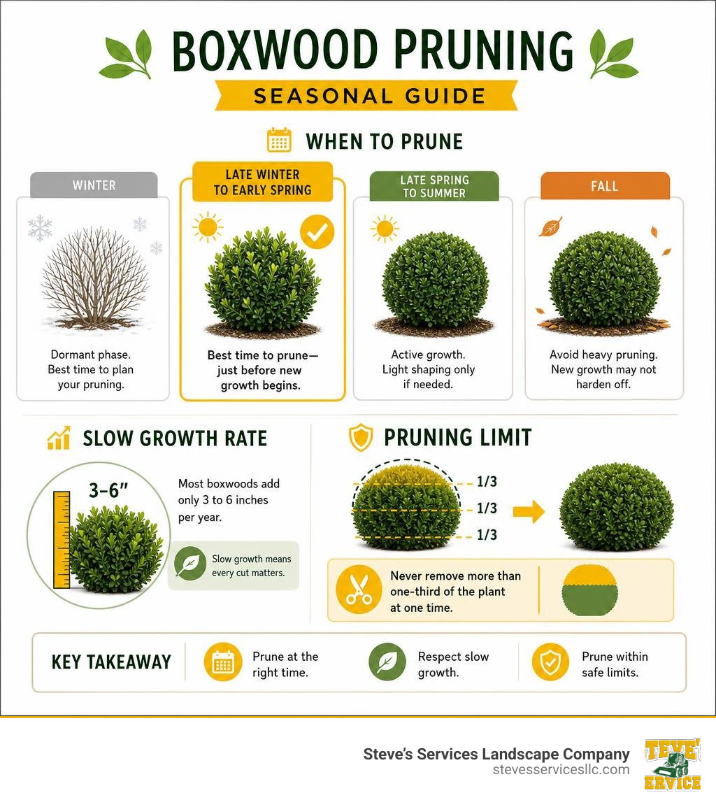 Boxwood pruning seasonal guide infographic showing timing, growth rate, and pruning limits infographic Boxwood pruning seasonal guide infographic showing timing, growth rate, and pruning limits infographic