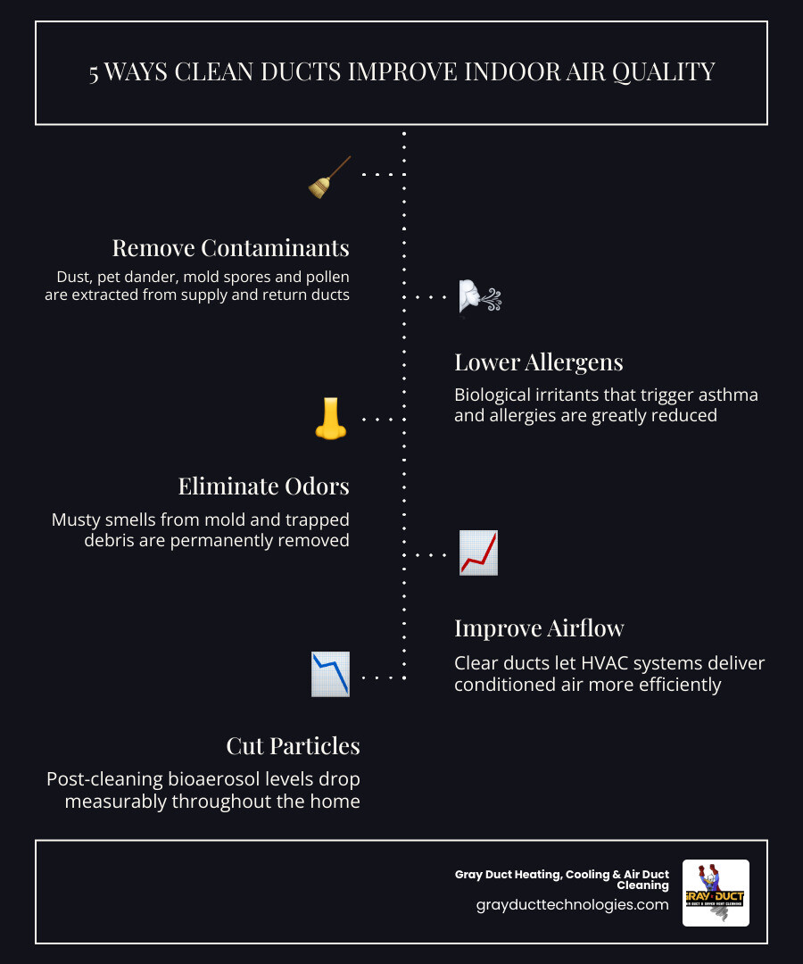 Infographic showing 5 ways clean air ducts improve indoor air quality in a home infographic Infographic showing 5 ways clean air ducts improve indoor air quality in a home infographic