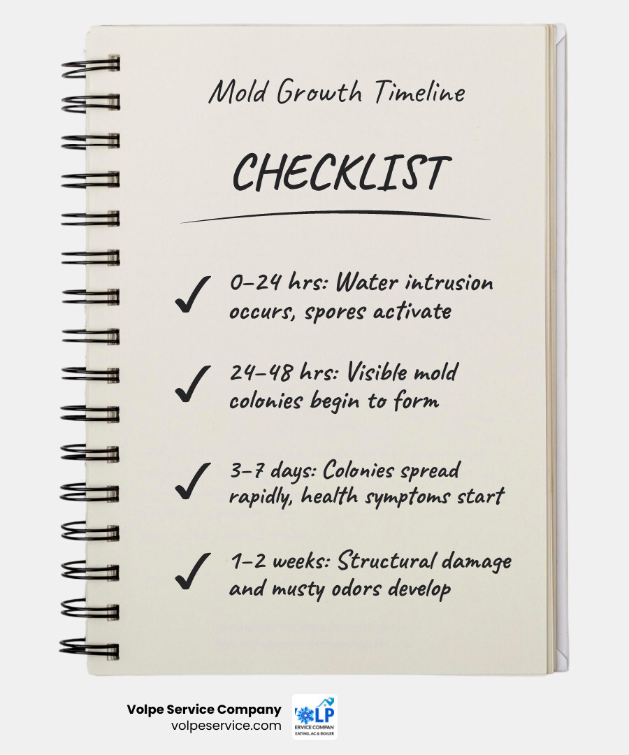 Infographic showing mold growth timeline, NJ humidity stats, ideal indoor humidity range, and top prevention tips infographic Infographic showing mold growth timeline, NJ humidity stats, ideal indoor humidity range, and top prevention tips infographic