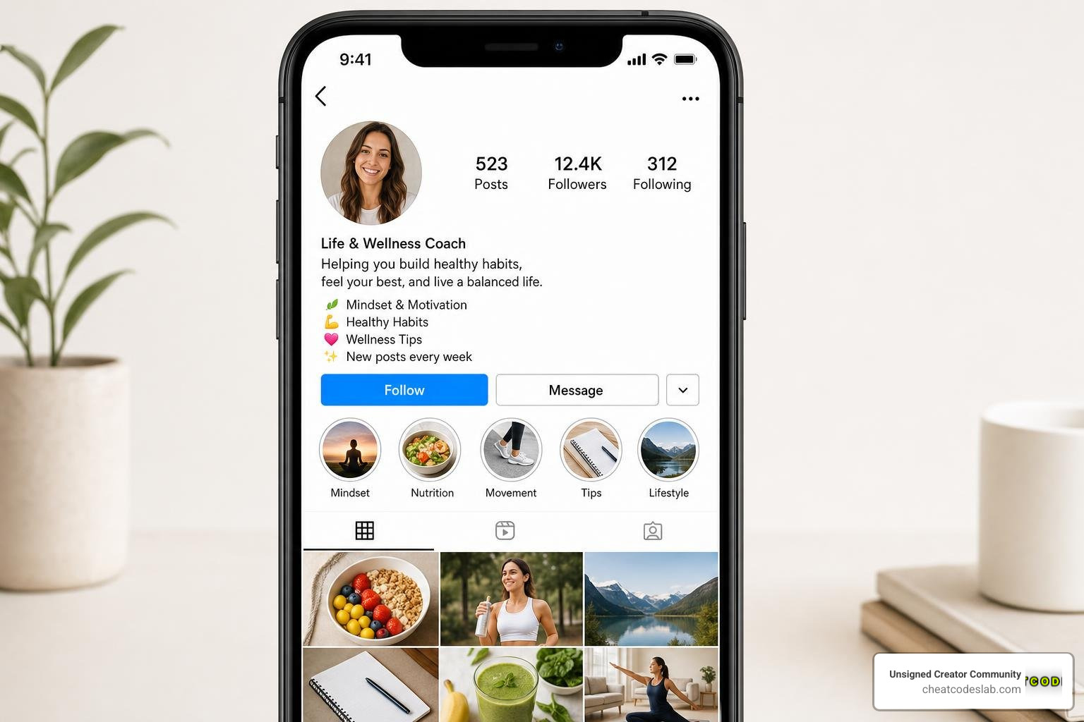 An optimized Instagram bio layout showing username and call to action