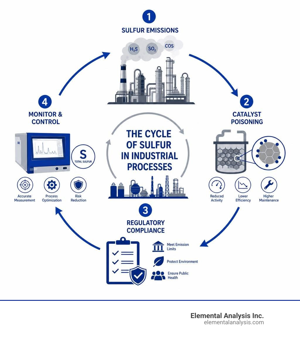 Cycle of sulfur emissions catalyst poisoning and regulatory compliance in industrial processes infographic