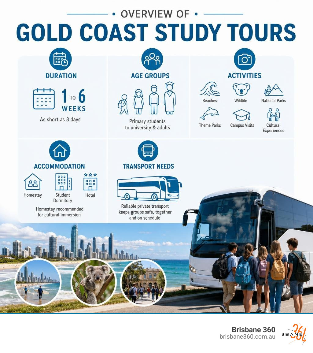 Overview infographic of Gold Coast study tours including duration, age groups, activities, accommodation, and transport