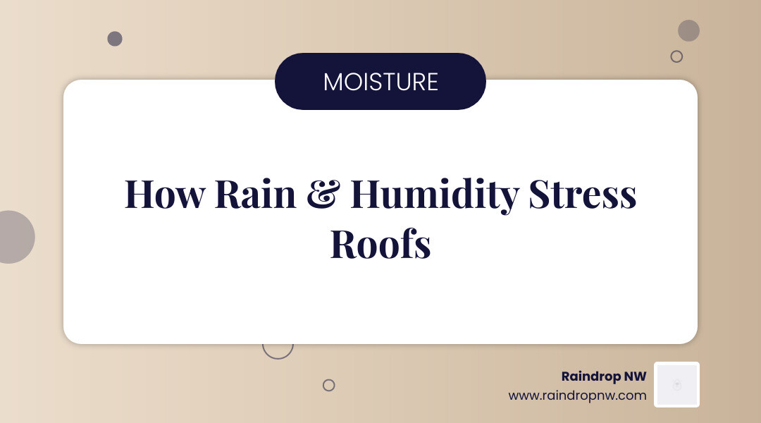 infographic showing how rain and humidity cycle through a residential roof causing moss growth, condensation, and material