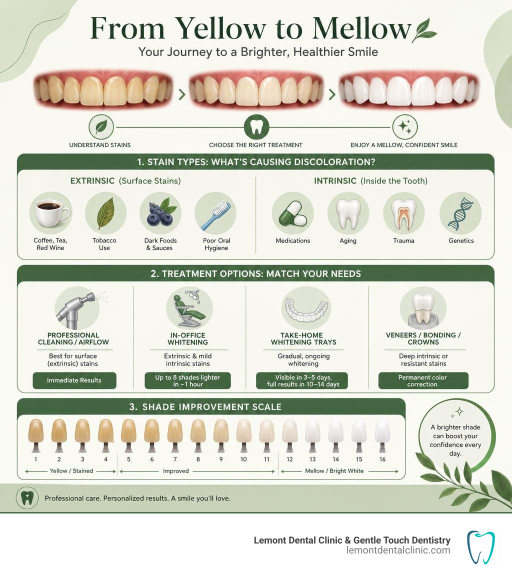 Infographic showing the journey from yellow to mellow teeth: stain types, treatment options, and shade improvement scale