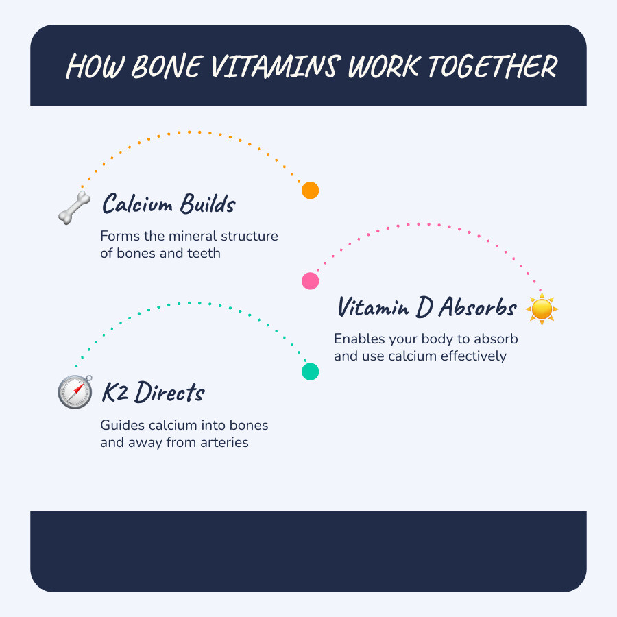 Key bone vitamins for elderly adults: calcium, vitamin D, magnesium, K2, B12, and vitamin C with recommended intakes