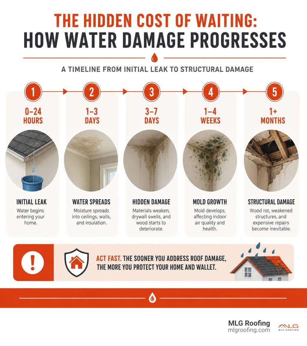 Timeline showing how water damage progresses from initial leak to mold growth and structural damage infographic Timeline showing how water damage progresses from initial leak to mold growth and structural damage infographic