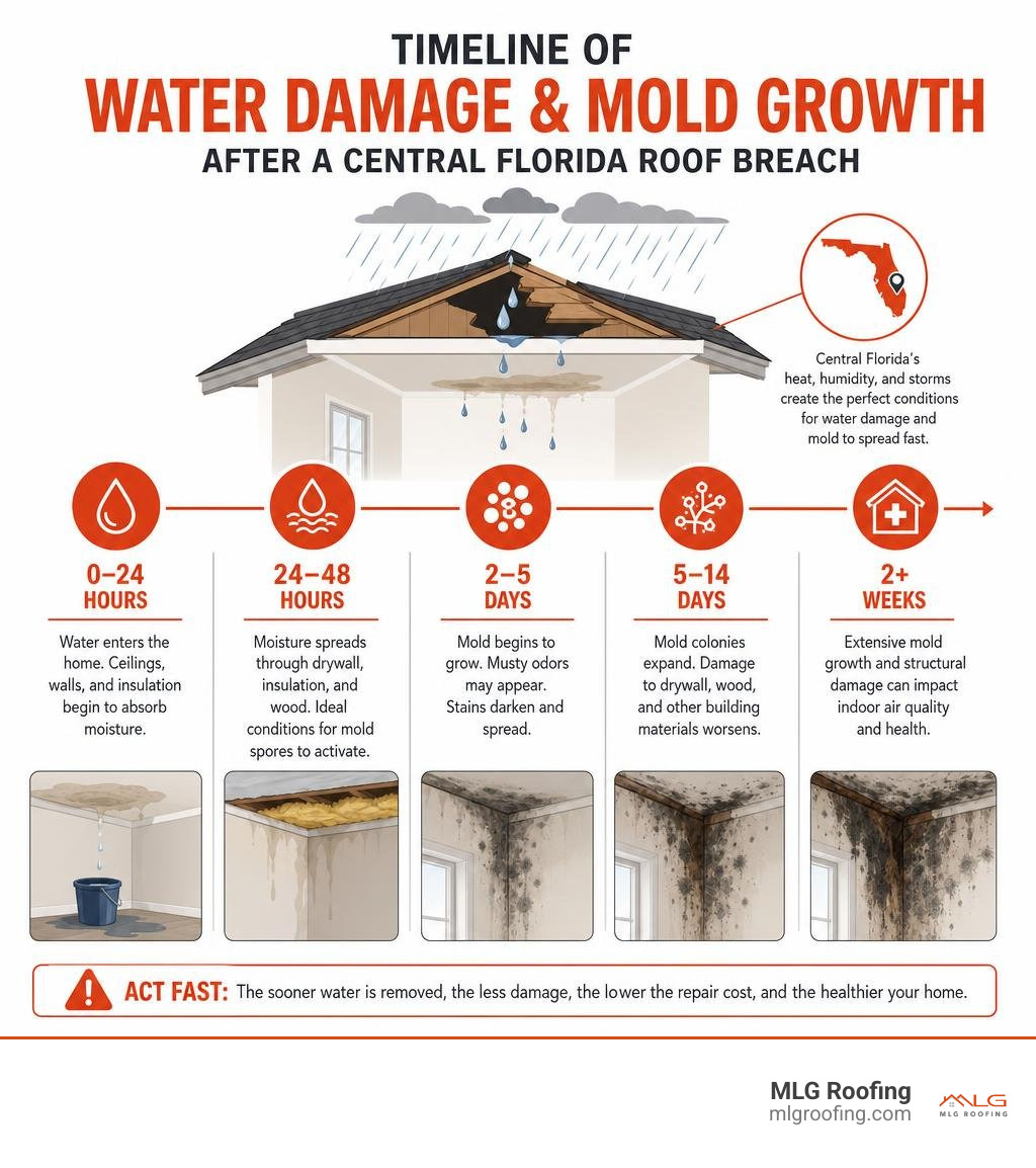 Timeline of water damage and mold growth after a Central Florida roof breach infographic infographic