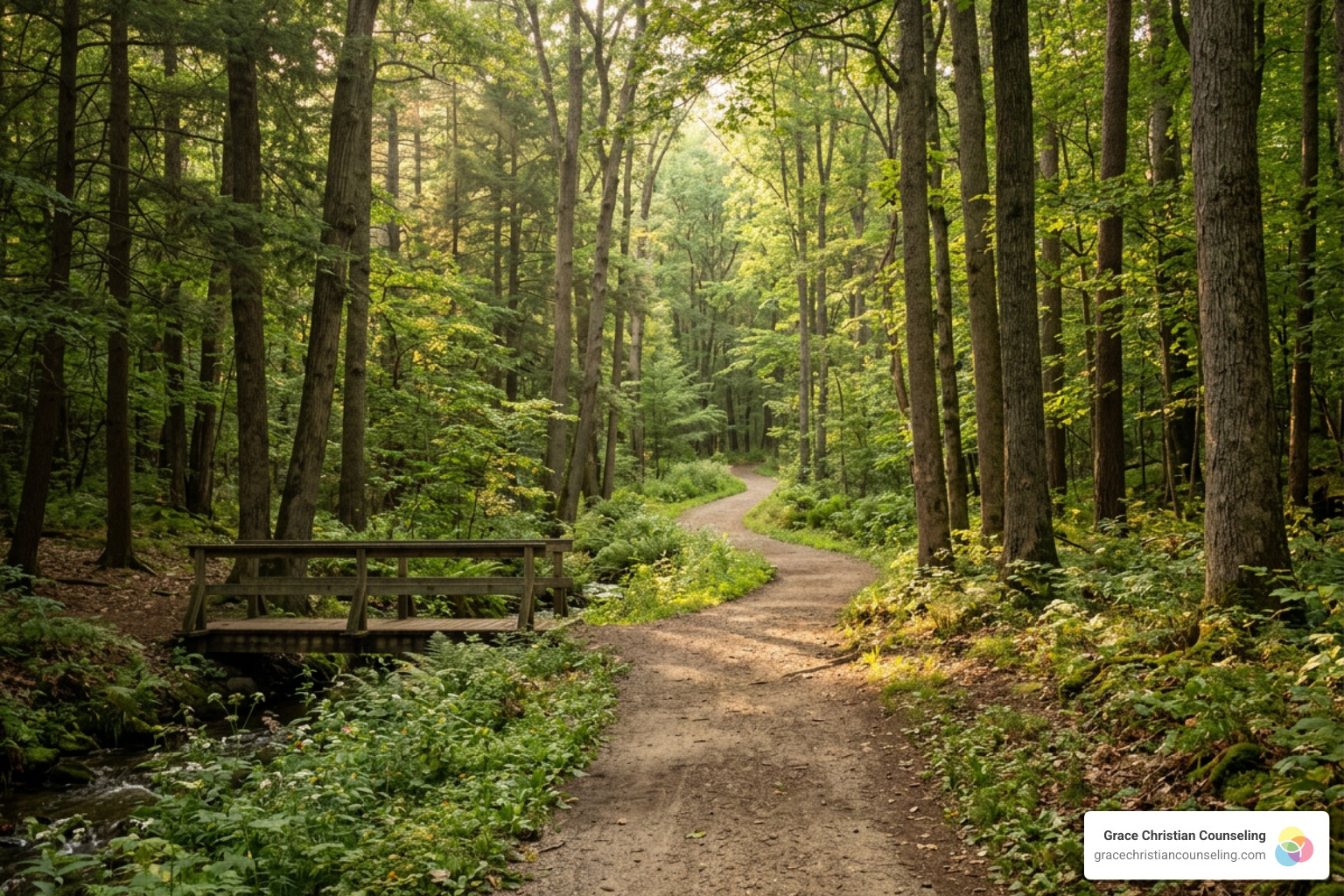 A beautiful pathway winding through a peaceful forest representing a healing journey A beautiful pathway winding through a peaceful forest representing a healing journey