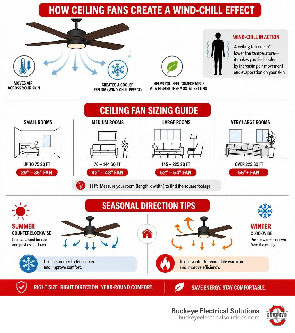 Infographic showing how ceiling fans create wind-chill effect, sizing guide, and seasonal direction tips infographic