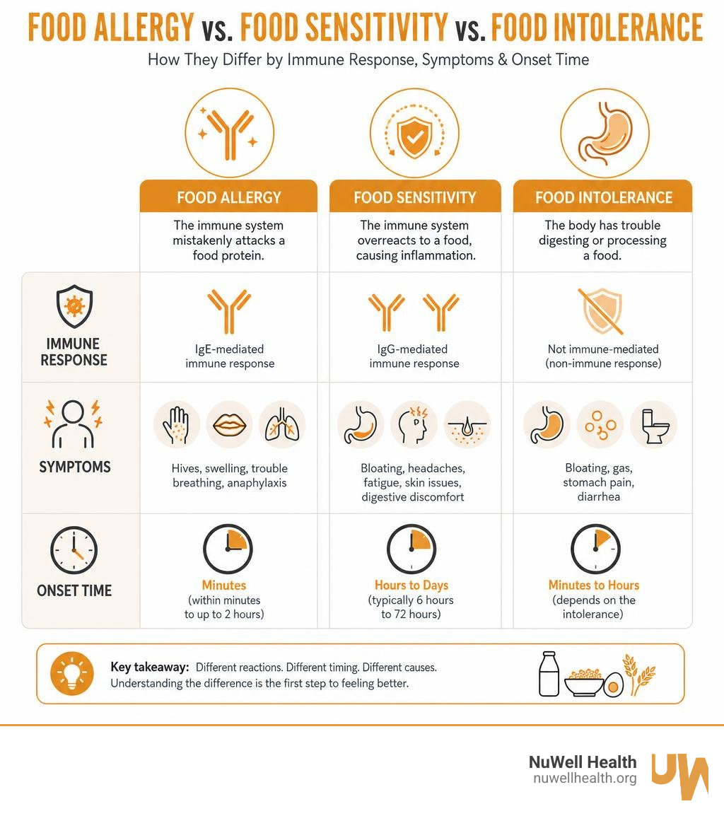 Infographic comparing food allergy, food sensitivity, and food intolerance by immune response, symptoms, and onset time