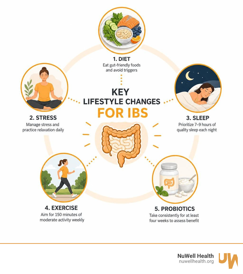 Key lifestyle changes for IBS infographic: diet, stress, sleep, exercise, probiotics infographic Key lifestyle changes for IBS infographic: diet, stress, sleep, exercise, probiotics infographic