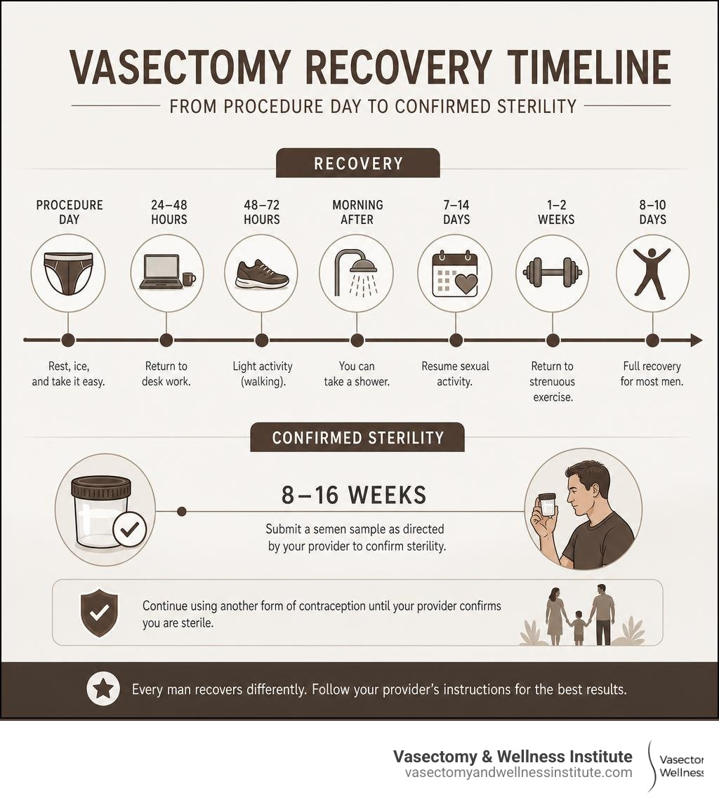Vasectomy recovery timeline infographic from procedure day to confirmed sterility at 12 weeks infographic