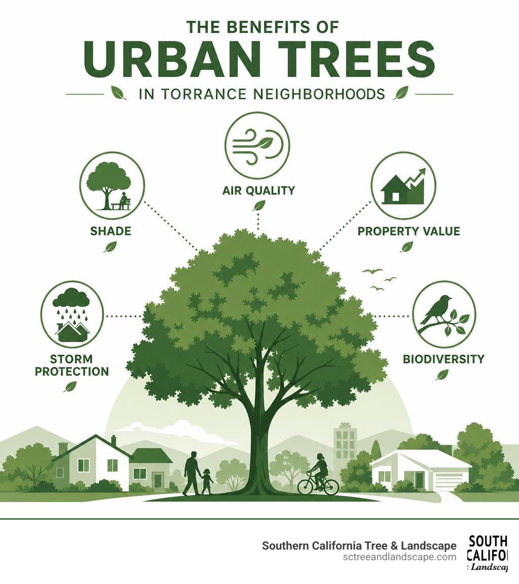 Benefits of urban trees in Torrance neighborhoods: shade, air quality, property value, storm protection, and biodiversity
