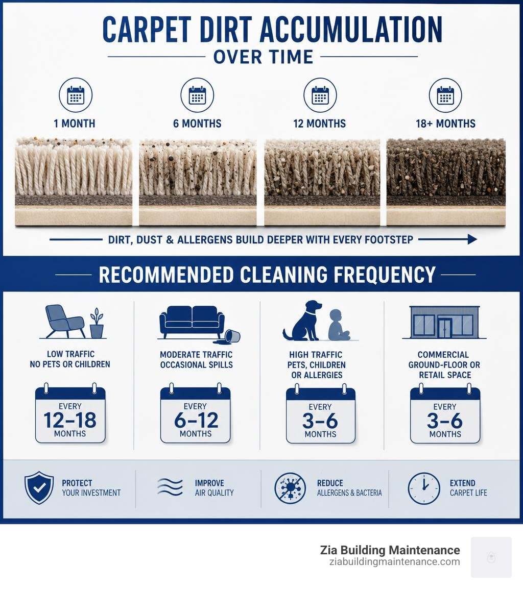 infographic showing carpet dirt accumulation over time and recommended cleaning frequency infographic infographic showing carpet dirt accumulation over time and recommended cleaning frequency infographic