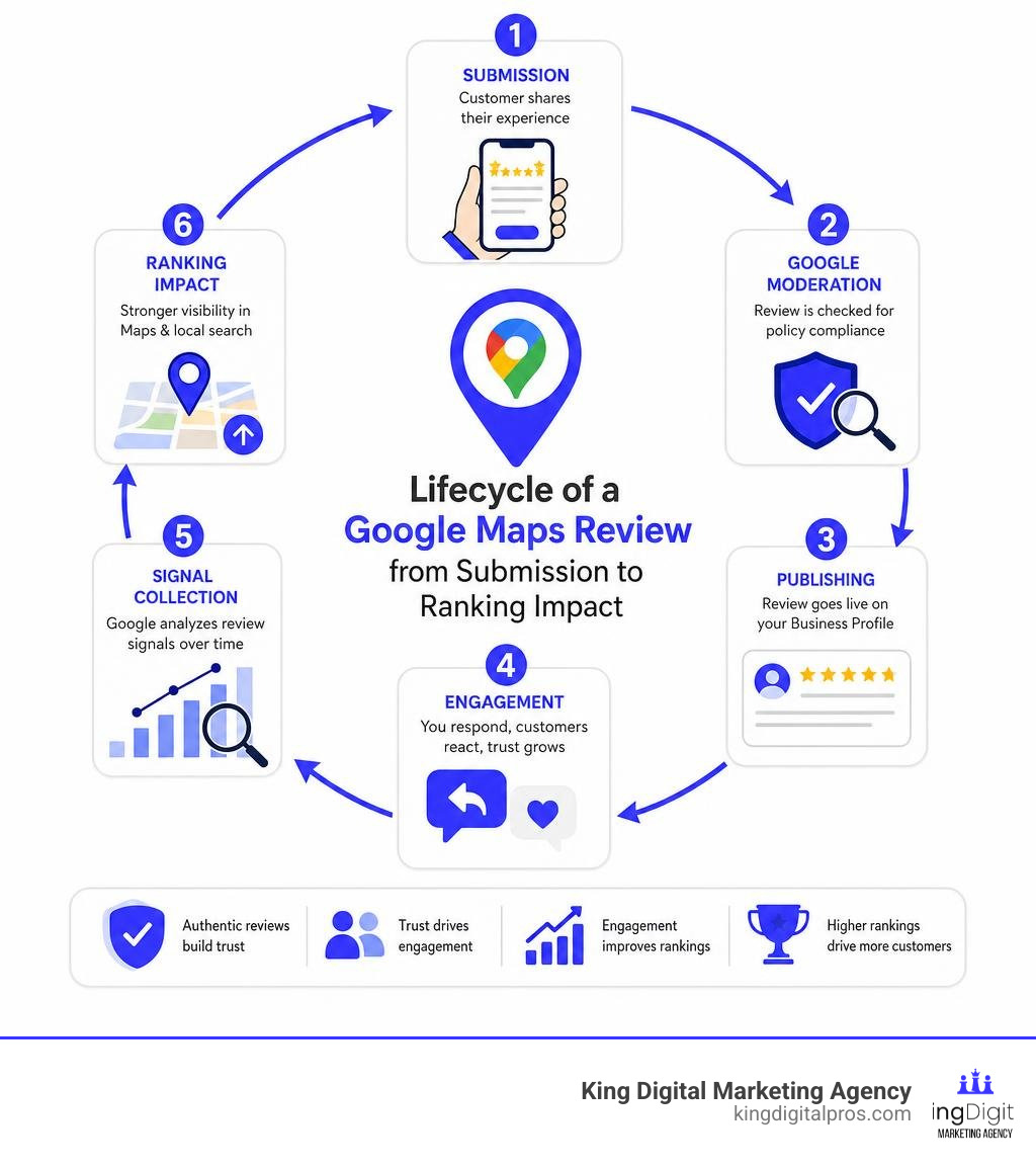 Lifecycle of a Google Maps review from submission to ranking impact infographic infographic Lifecycle Of A Google Maps Review From Submission To Ranking Impact Infographic Infographic