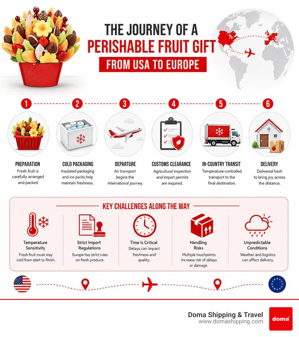 Infographic: journey of a perishable fruit gift from USA to Europe, showing key steps and challenges infographic Infographic: journey of a perishable fruit gift from USA to Europe, showing key steps and challenges infographic