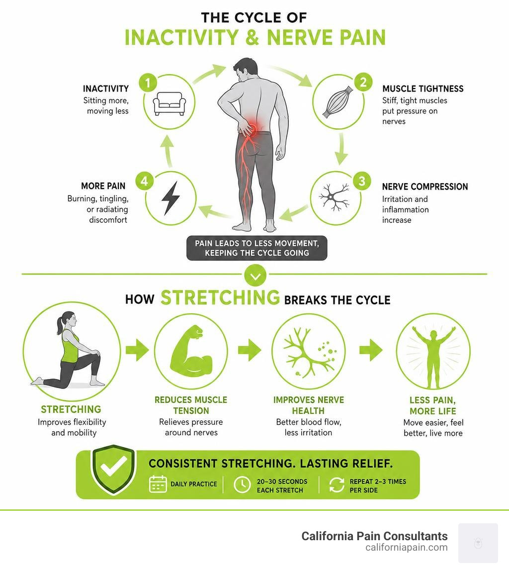 Infographic showing the cycle of inactivity and nerve pain, and how stretching breaks it infographic