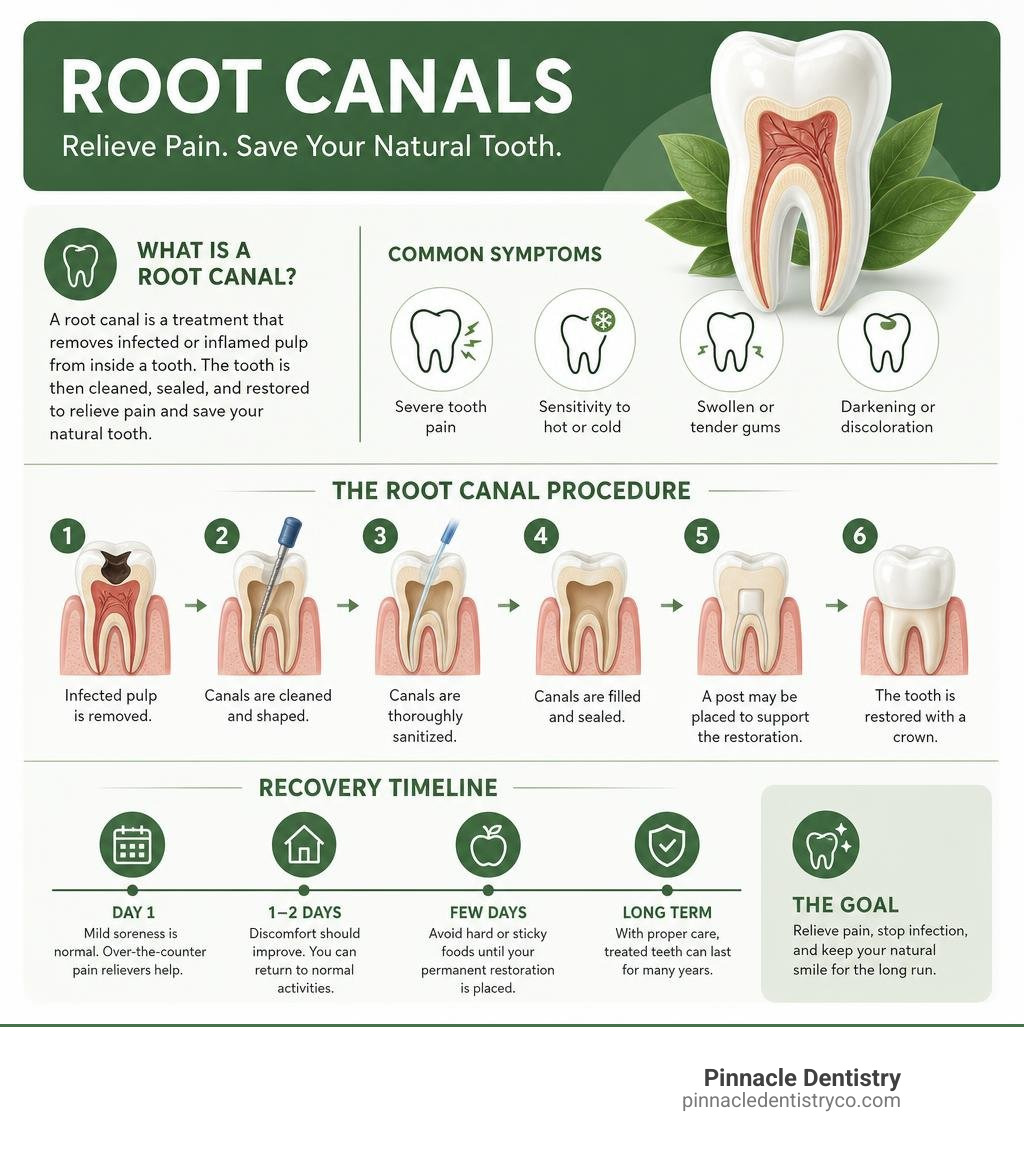 Infographic showing root canal definition, symptoms, procedure steps, and recovery timeline infographic Infographic showing root canal definition, symptoms, procedure steps, and recovery timeline infographic