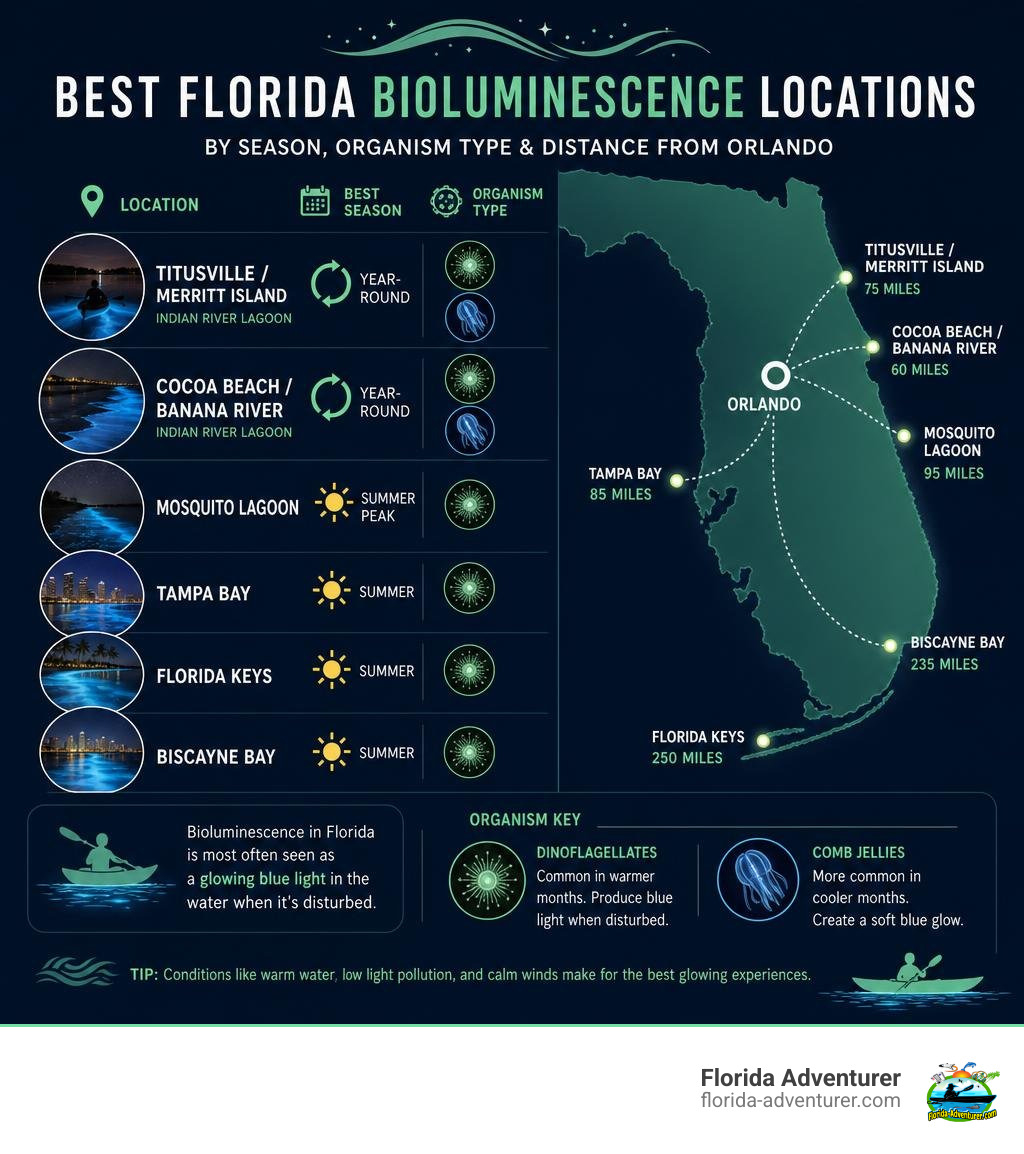 infographic showing best Florida bioluminescence locations by season, organism type, and distance from Orlando infographic infographic showing best Florida bioluminescence locations by season, organism type, and distance from Orlando infographic