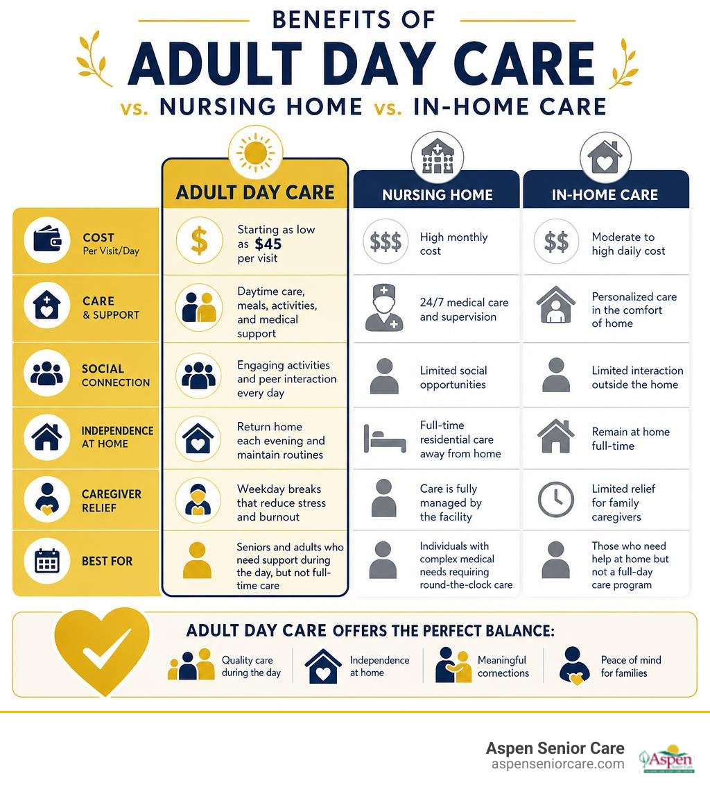 Benefits of adult day care vs nursing home and in-home care infographic infographic Benefits of adult day care vs nursing home and in-home care infographic infographic
