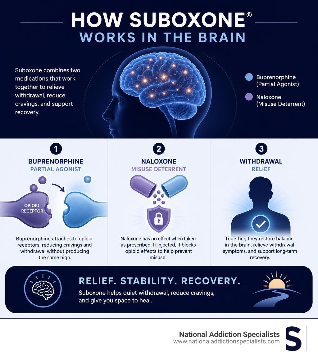 How Suboxone works in the brain: buprenorphine partial agonist, naloxone misuse deterrent, withdrawal relief infographic How Suboxone works in the brain: buprenorphine partial agonist, naloxone misuse deterrent, withdrawal relief infographic
