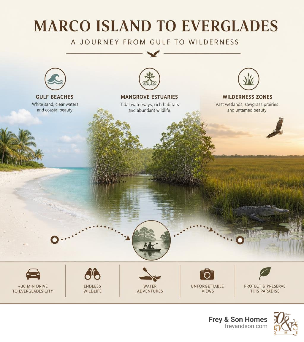 Marco Island to Everglades transition showing Gulf beaches, mangrove estuaries, and wilderness zones infographic Marco Island to Everglades transition showing Gulf beaches, mangrove estuaries, and wilderness zones infographic