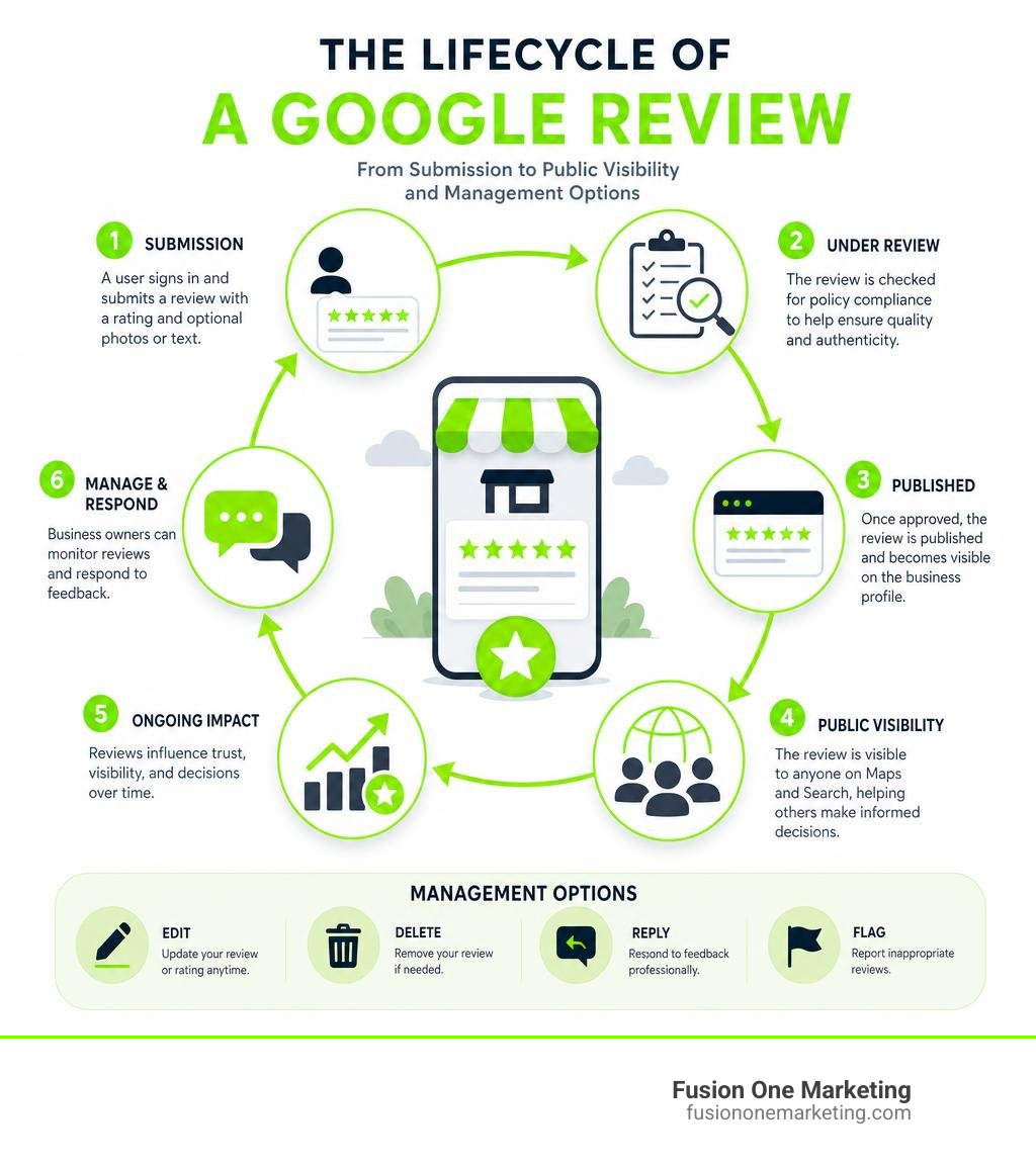 Infographic showing the lifecycle of a Google review from submission to public visibility and management options infographic Infographic showing the lifecycle of a Google review from submission to public visibility and management options infographic