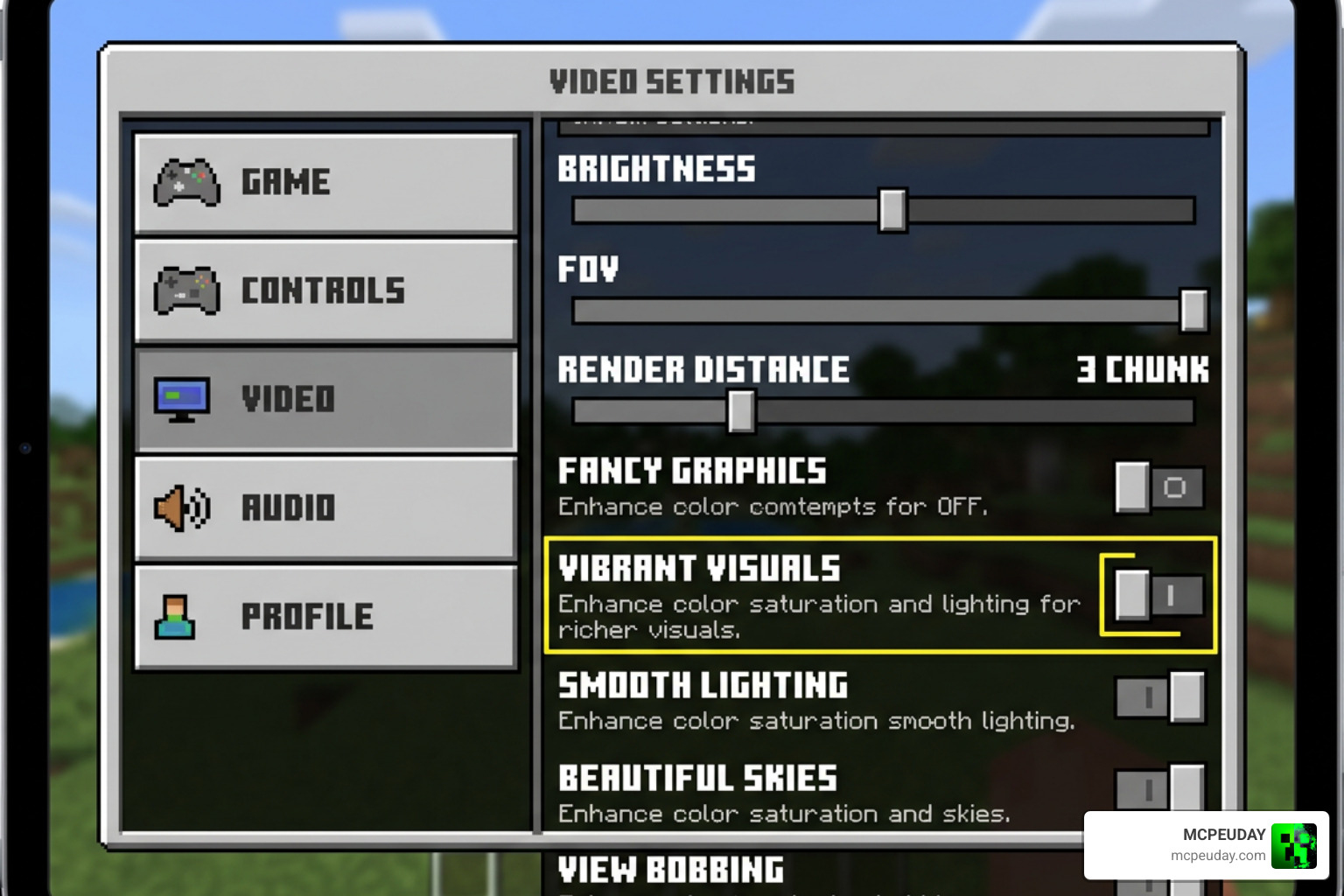 In-game settings menu showing how to enable Vibrant Visuals