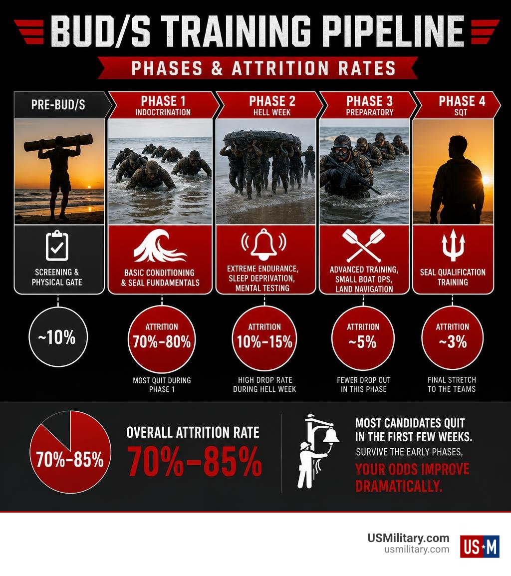 Infographic showing BUD/S training pipeline phases and attrition rates at each stage infographic