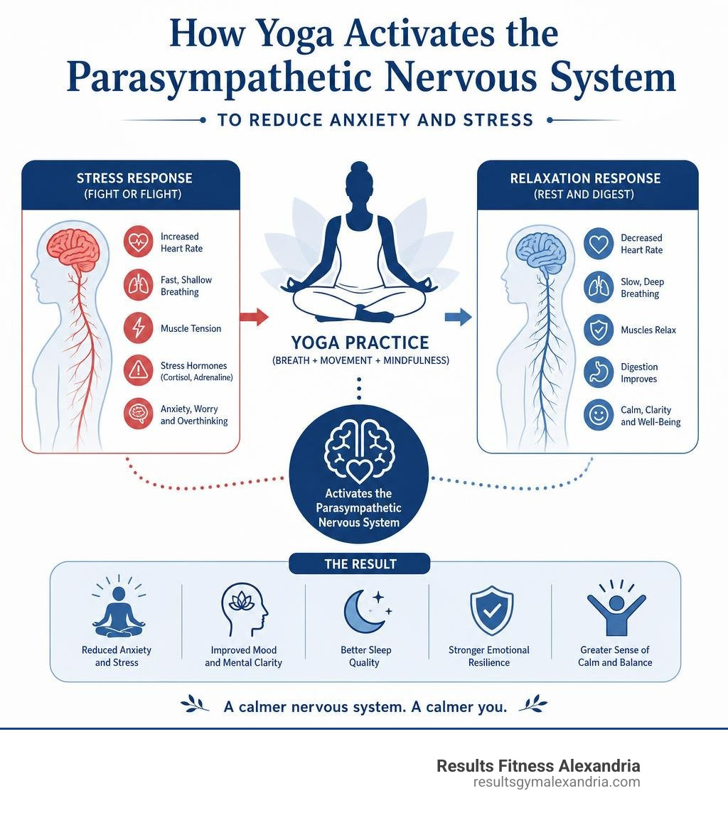 Infographic showing how yoga activates the parasympathetic nervous system to reduce anxiety and stress infographic Infographic showing how yoga activates the parasympathetic nervous system to reduce anxiety and stress infographic
