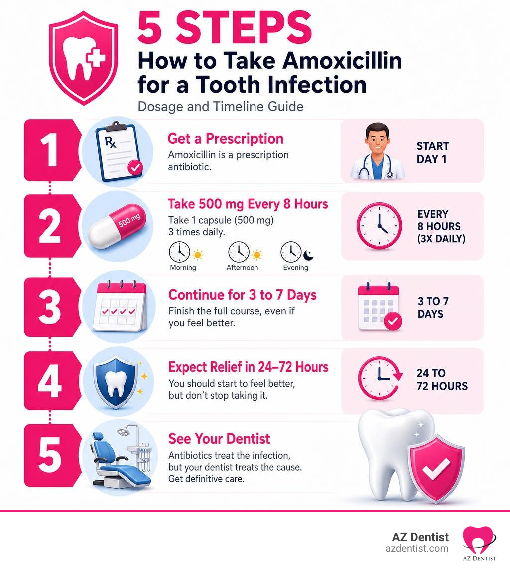 5-step infographic showing how to take amoxicillin for a tooth infection with dosage and timeline infographic